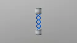 T Virus