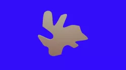 T2