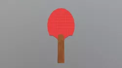 Table Tennis Paddle
