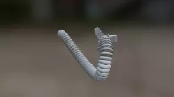 Tail