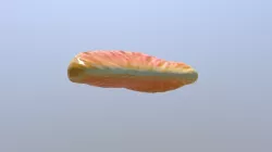 Tangerine free