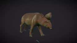 Tapir żołądź