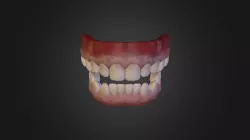 Teeth