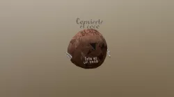 Test 20