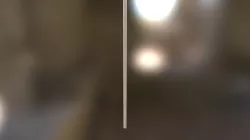 test animate