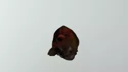 Test reltec