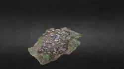 Test03