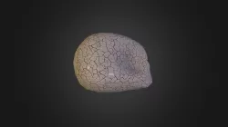 Texture Skull