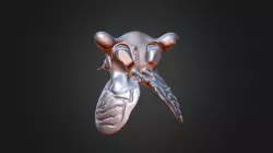 THE FLY alien