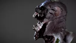 The Fly