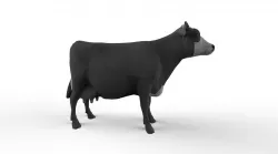 3d cow