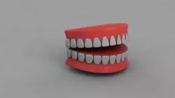 3D Teeth  3D model