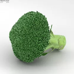 Broccoli 3D model