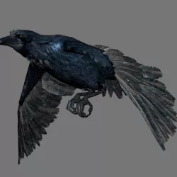 Crow with Animated  Low-poly  3D model