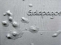 Galapagos and its Volcanos