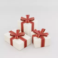 Gift Box 3D model
