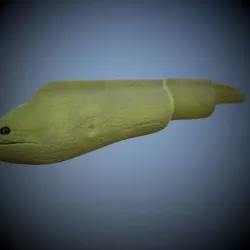 Green Eel 3D model