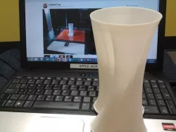 Lofted Cup