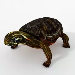 Oriental Painted Turtle Low-poly  3D model