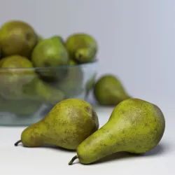 Pears 3D model