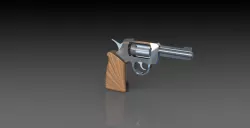 Pistol