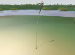 Reeds - Object 18 Low-poly  3D model