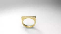 RING/ANEL