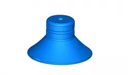Suction cup