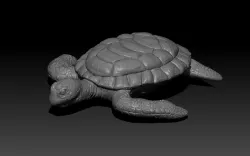 Turtle 3D model