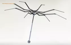 Umbrella-Ombrello