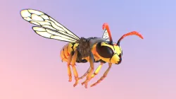 The Name's Yellow Jay