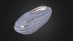 The Shell
