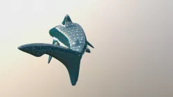 The Toothless Glas Shark
