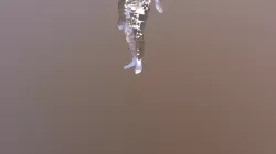 Thriller Part 4