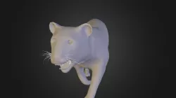 Tiger Final