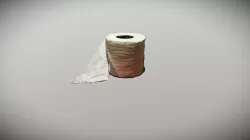 Toilet Paper
