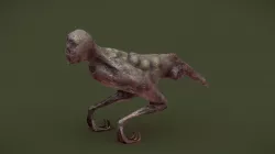 Tom