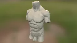Torso 1 (Autodesk Remake)