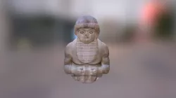 Torso