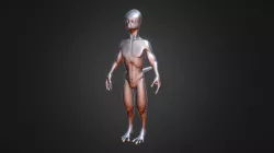Travis - Character Model (Resurfaced)