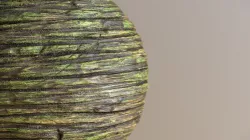 Tree Bark