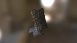 Tree bark