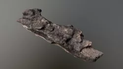 Tree bark scan