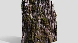 Tree Moss - Photogrammetry (lowpoly)