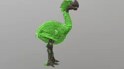 Tree Ostrich