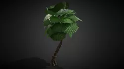 Tree Palm Alien 001e