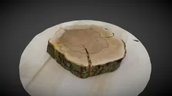 Tree Pit