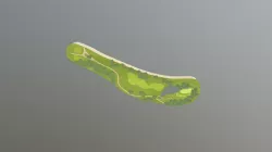 Tree test