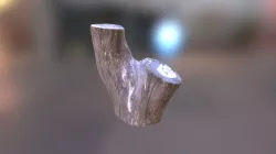 Tree Trunk- ReCap