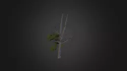 tree4